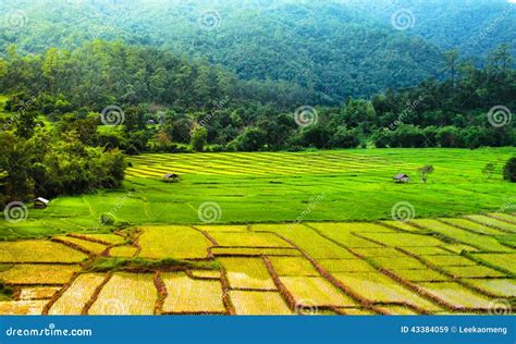 xburma similar sites|Xburma.com .